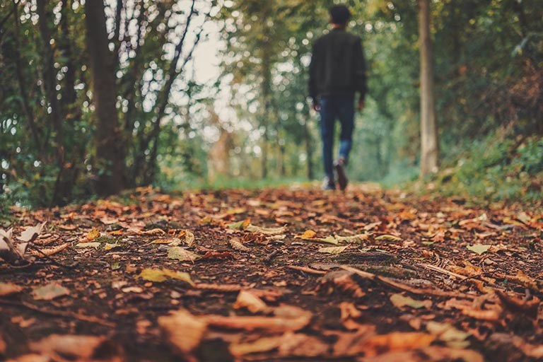 Walking | Smarter Travel Ltd