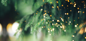 Christmas tree